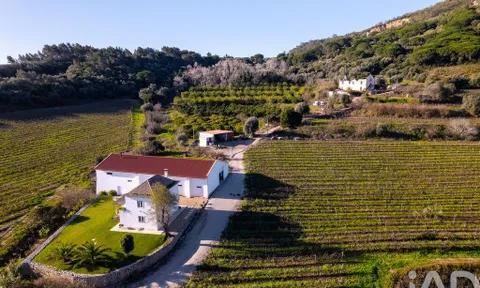Farm in Setubal, Setubal