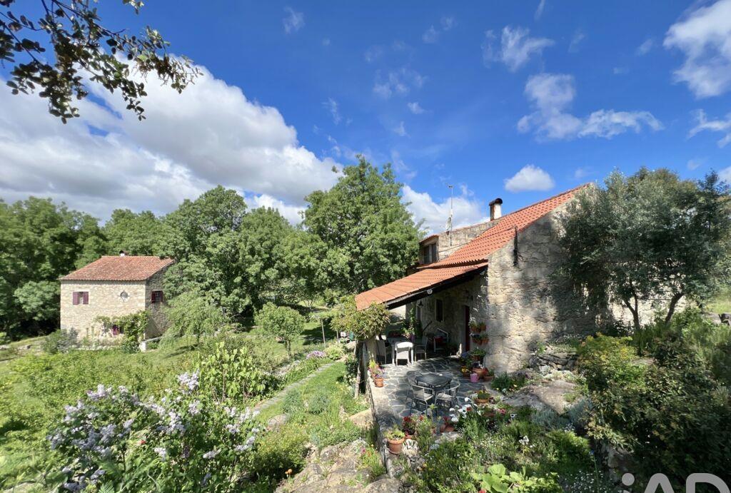 Farm in Castelo Branco, Castelo Branco