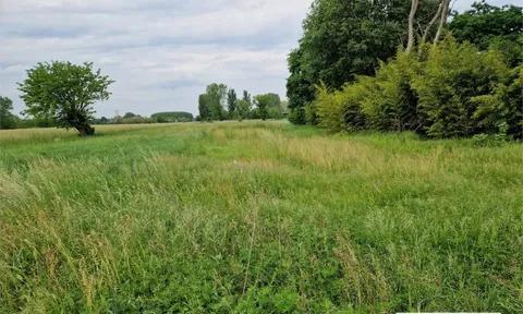 Land in Corbetta, Milan